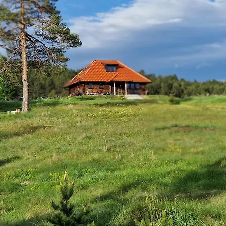 Skroviste, Zlatibor-vodice 度假居 *