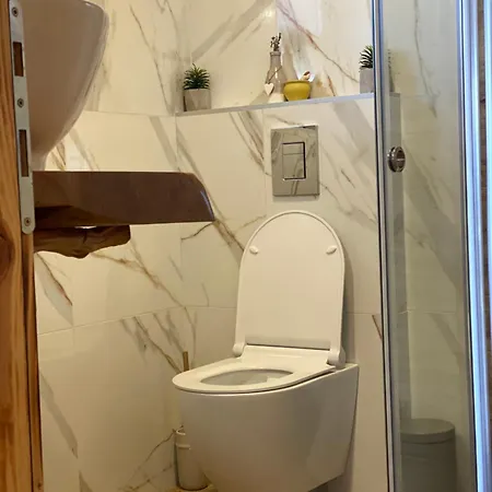 Skroviste, Zlatibor-vodice 度假居