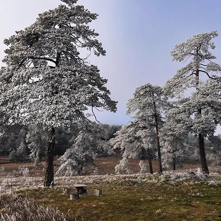 Skroviste, Zlatibor-vodice *