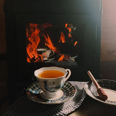 Skroviste, Zlatibor-vodice Vikendica *