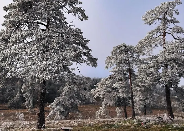 Skroviste, Zlatibor-vodice *