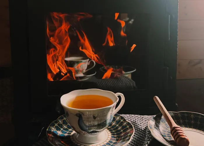 Skroviste, Zlatibor-vodice 度假居 *